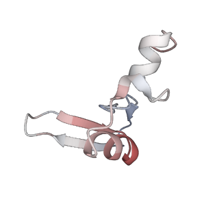 16222_8brm_LX_v1-2
Giardia ribosome in POST-T state, no E-site tRNA (A6)
