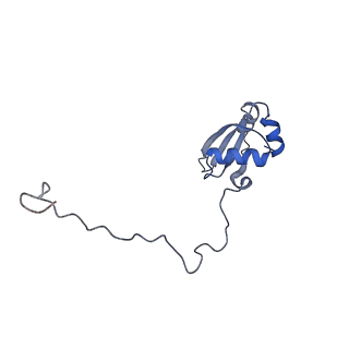 16222_8brm_LY_v1-2
Giardia ribosome in POST-T state, no E-site tRNA (A6)