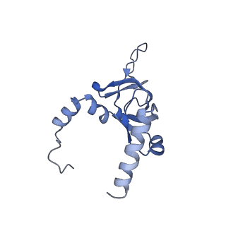 16222_8brm_LZ_v1-2
Giardia ribosome in POST-T state, no E-site tRNA (A6)