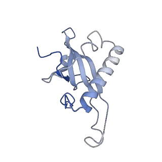 16222_8brm_La_v1-2
Giardia ribosome in POST-T state, no E-site tRNA (A6)