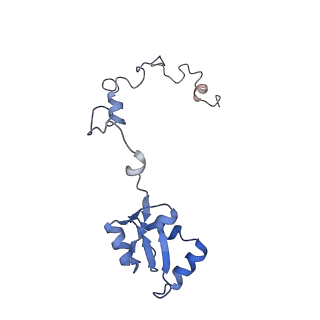 16222_8brm_Lb_v1-2
Giardia ribosome in POST-T state, no E-site tRNA (A6)