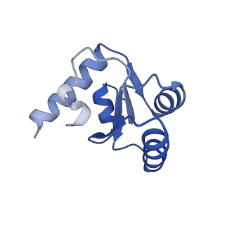 16222_8brm_Ld_v1-2
Giardia ribosome in POST-T state, no E-site tRNA (A6)