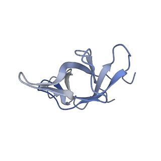16222_8brm_Lg_v1-2
Giardia ribosome in POST-T state, no E-site tRNA (A6)