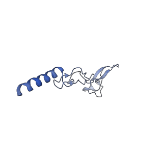 16222_8brm_Lh_v1-2
Giardia ribosome in POST-T state, no E-site tRNA (A6)