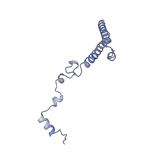 16222_8brm_Li_v1-2
Giardia ribosome in POST-T state, no E-site tRNA (A6)