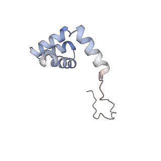16222_8brm_Lj_v1-2
Giardia ribosome in POST-T state, no E-site tRNA (A6)