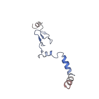 16222_8brm_Lk_v1-2
Giardia ribosome in POST-T state, no E-site tRNA (A6)