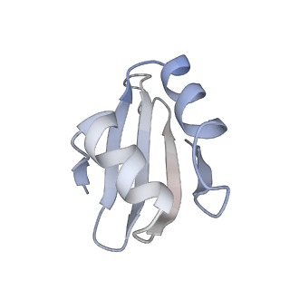 16222_8brm_Ll_v1-2
Giardia ribosome in POST-T state, no E-site tRNA (A6)