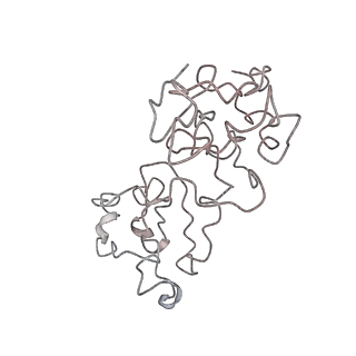 16222_8brm_Ln_v1-2
Giardia ribosome in POST-T state, no E-site tRNA (A6)