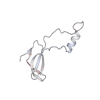 16222_8brm_Lp_v1-2
Giardia ribosome in POST-T state, no E-site tRNA (A6)