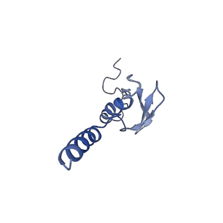16222_8brm_Lq_v1-2
Giardia ribosome in POST-T state, no E-site tRNA (A6)