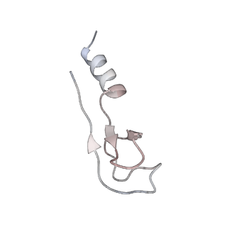 16222_8brm_Ls_v1-2
Giardia ribosome in POST-T state, no E-site tRNA (A6)