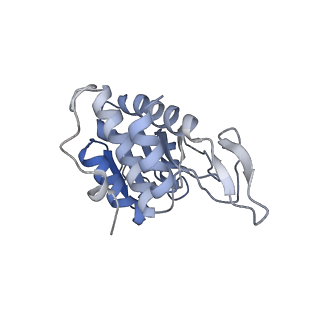 16222_8brm_SA_v1-2
Giardia ribosome in POST-T state, no E-site tRNA (A6)