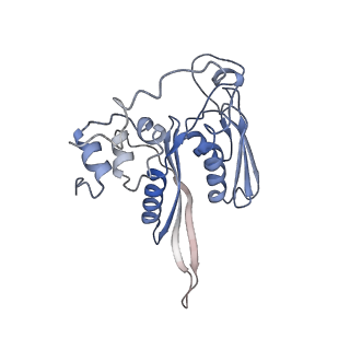 16222_8brm_SB_v1-2
Giardia ribosome in POST-T state, no E-site tRNA (A6)