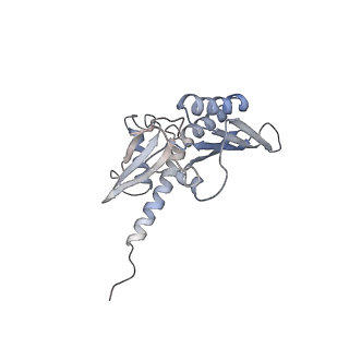 16222_8brm_SC_v1-2
Giardia ribosome in POST-T state, no E-site tRNA (A6)