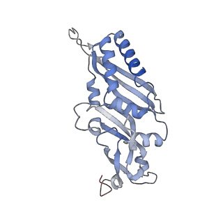 16222_8brm_SD_v1-2
Giardia ribosome in POST-T state, no E-site tRNA (A6)