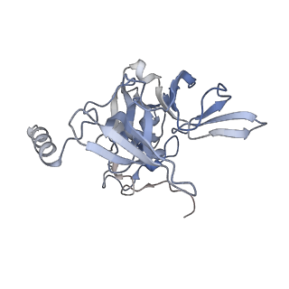 16222_8brm_SE_v1-2
Giardia ribosome in POST-T state, no E-site tRNA (A6)