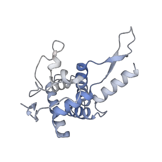 16222_8brm_SF_v1-2
Giardia ribosome in POST-T state, no E-site tRNA (A6)