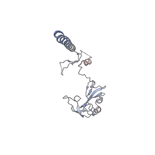 16222_8brm_SG_v1-2
Giardia ribosome in POST-T state, no E-site tRNA (A6)