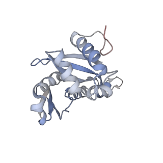 16222_8brm_SH_v1-2
Giardia ribosome in POST-T state, no E-site tRNA (A6)