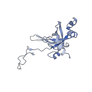 16222_8brm_SI_v1-2
Giardia ribosome in POST-T state, no E-site tRNA (A6)