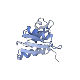 16222_8brm_SJ_v1-2
Giardia ribosome in POST-T state, no E-site tRNA (A6)