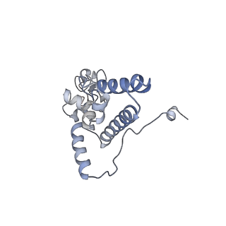 16222_8brm_SK_v1-2
Giardia ribosome in POST-T state, no E-site tRNA (A6)