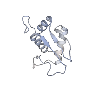 16222_8brm_SL_v1-2
Giardia ribosome in POST-T state, no E-site tRNA (A6)