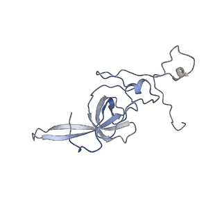 16222_8brm_SM_v1-2
Giardia ribosome in POST-T state, no E-site tRNA (A6)