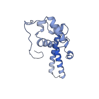 16222_8brm_SP_v1-2
Giardia ribosome in POST-T state, no E-site tRNA (A6)