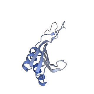 16222_8brm_SQ_v1-2
Giardia ribosome in POST-T state, no E-site tRNA (A6)