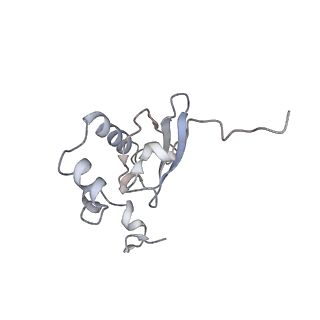 16222_8brm_SR_v1-2
Giardia ribosome in POST-T state, no E-site tRNA (A6)