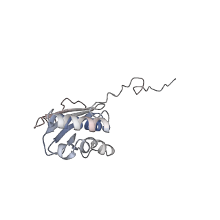 16222_8brm_ST_v1-2
Giardia ribosome in POST-T state, no E-site tRNA (A6)