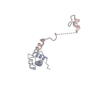 16222_8brm_SU_v1-2
Giardia ribosome in POST-T state, no E-site tRNA (A6)
