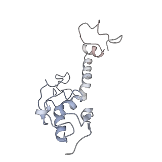 16222_8brm_SV_v1-2
Giardia ribosome in POST-T state, no E-site tRNA (A6)