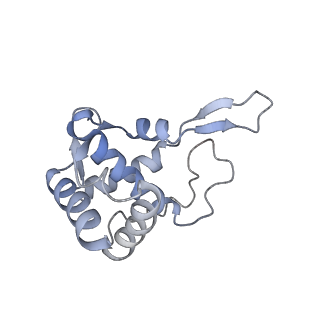 16222_8brm_SW_v1-2
Giardia ribosome in POST-T state, no E-site tRNA (A6)