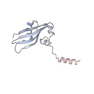 16222_8brm_Sb_v1-2
Giardia ribosome in POST-T state, no E-site tRNA (A6)