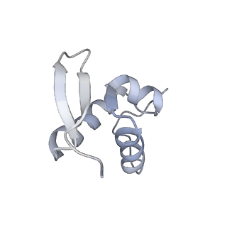 16222_8brm_Sc_v1-2
Giardia ribosome in POST-T state, no E-site tRNA (A6)
