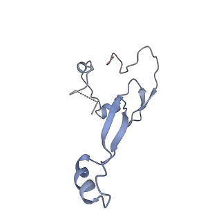 16222_8brm_Sd_v1-2
Giardia ribosome in POST-T state, no E-site tRNA (A6)