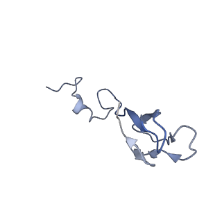 16222_8brm_Se_v1-2
Giardia ribosome in POST-T state, no E-site tRNA (A6)