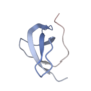 16222_8brm_Sg_v1-2
Giardia ribosome in POST-T state, no E-site tRNA (A6)