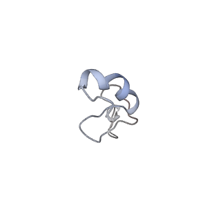 16222_8brm_Sh_v1-2
Giardia ribosome in POST-T state, no E-site tRNA (A6)