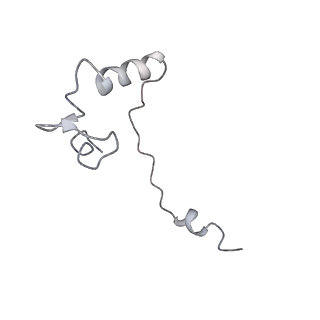16222_8brm_Sj_v1-2
Giardia ribosome in POST-T state, no E-site tRNA (A6)