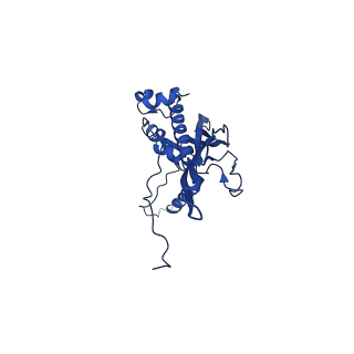 30160_7brm_A_v1-1
Architecture of curli complex