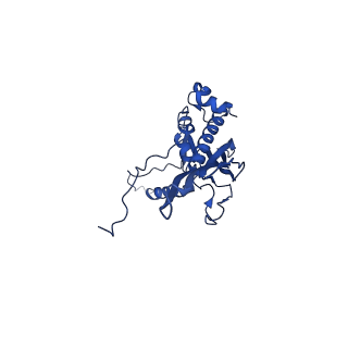 30160_7brm_B_v1-1
Architecture of curli complex