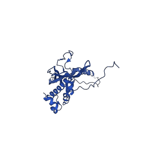 30160_7brm_C_v1-1
Architecture of curli complex