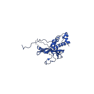 30160_7brm_E_v1-1
Architecture of curli complex