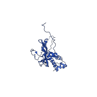 30160_7brm_F_v1-1
Architecture of curli complex