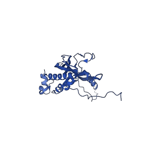 30160_7brm_G_v1-1
Architecture of curli complex