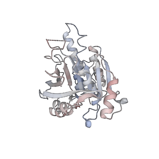 16224_8bsc_A_v1-1
CryoEM structure of the RAD51 nucleoprotein filament in the presence of ADP and Ca2+